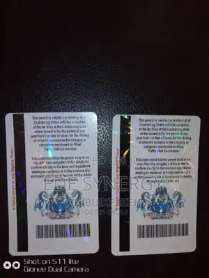 Express Error Free International Drivers Licence