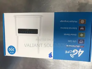4GCEP Router