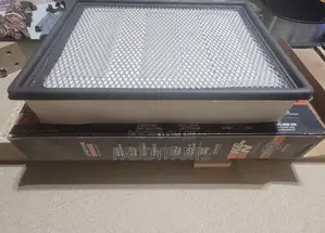 Cadillac Escalade Engine Air Filter