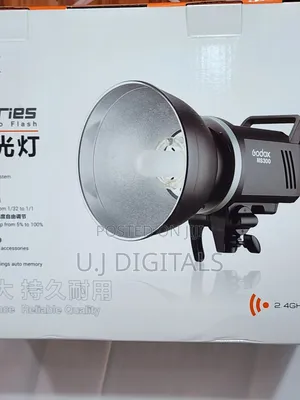 Godox Ms300 Professional Studio Light