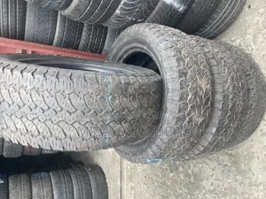 265/65/17 Tire Lough Teeth