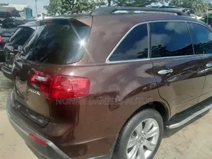 Acura MDX 2010 Brown