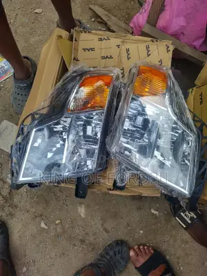 Ford Edge 2010 Headlights