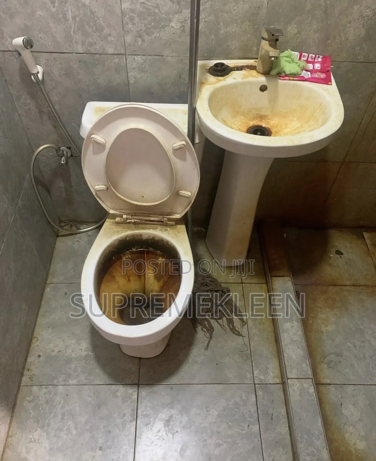 Professional House Cleaning Service