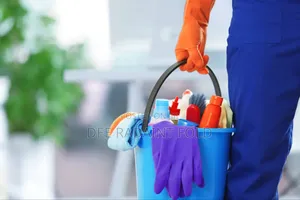 General Cleaning Services