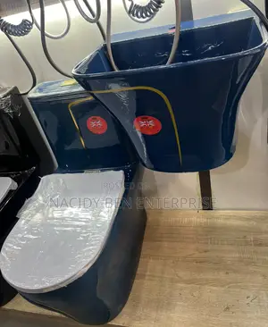An Integrated Wc With Hanging Basin