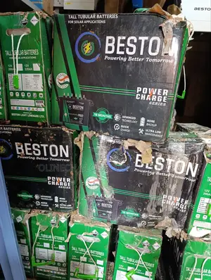12 V 220ah Beston Tall Tubular Battery