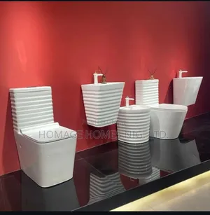 Luxury White Executive Wc Wit Suspended Basin