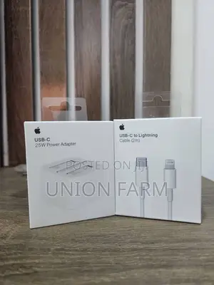 iPhone Charger