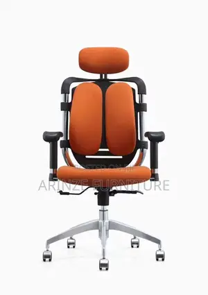 Orthopedic Ergonomic Chair