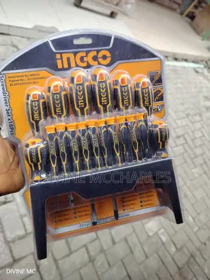 18 Piece Ingco Screw Driver Set