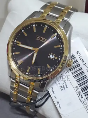 Original Citizen Eco-Drive Two-Tone Chain Watch Is Available