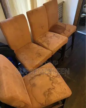 Best Couch Mattress Cleaning Service