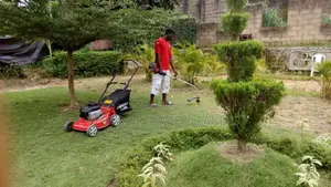 Proffessional Garden Maintenance and Landscape