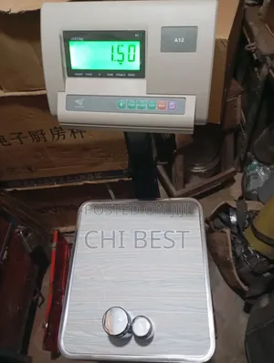 60kg X 5g Stainless Steel With A12E Head