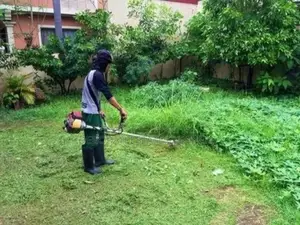 Affordable and Professional Gardening