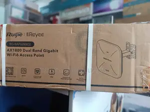 Ruijie Dual Band Gigabit Wifi 6 Outdoor Access Point