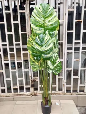Flower Decor