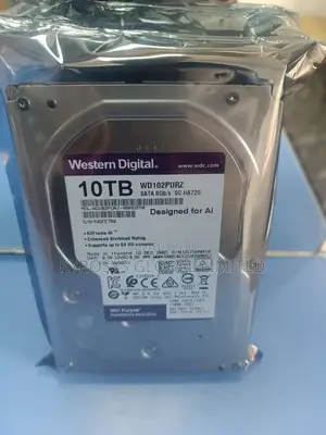 10tb Wd Surveillance Hard Drive