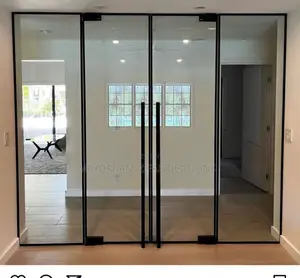 Frameless Swing Doors