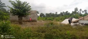 Genuine Virgin Lands