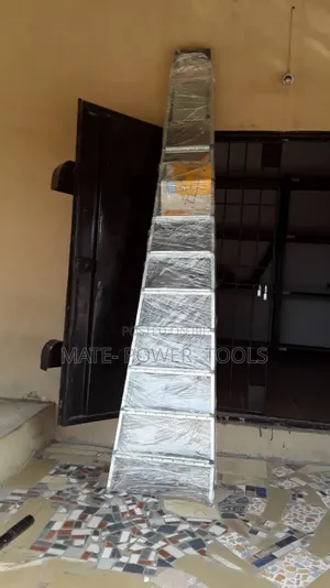 Atlas Light Trade Stepladder 10