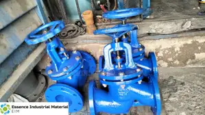 2.5 Inches Inch Globe Valve