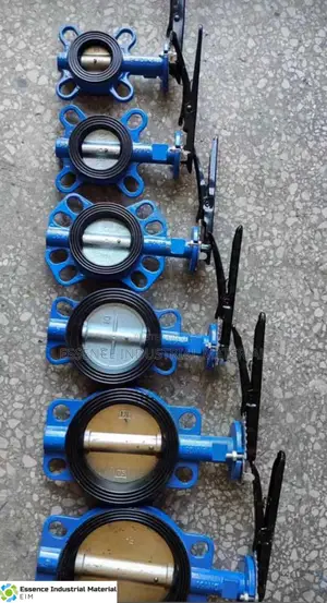 3 Inches Butter Fly Valve