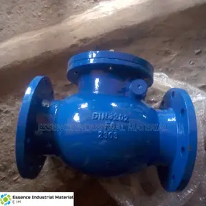 2 Inches Non-Return Valve
