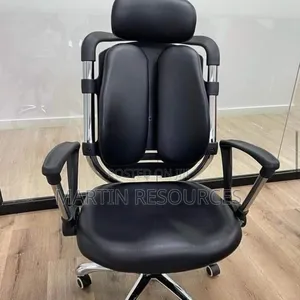Executive Office Chair Ergonomic