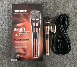 AKG Chord Microphone