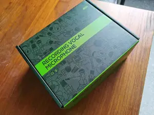BNK C200 Recording/Condenser Microphone