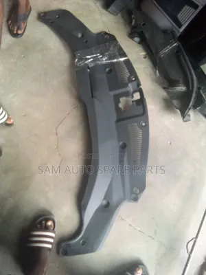 Lexus RX 350 Radiator Plastic 2018 Model