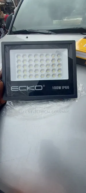 Ecko 100 Watts Flood Light