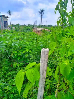 2 Acres of Fertile Land Available for Rent in Imota Ikorodu