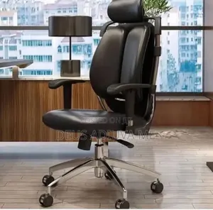 Ergonomic Kidney Chair With Adjustable Hand
