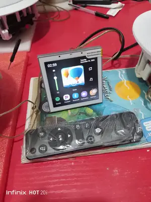 Smart Alexa Voice Command Amplifier