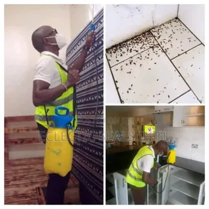 House Fumigation