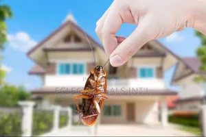 Pest Control Fumigation