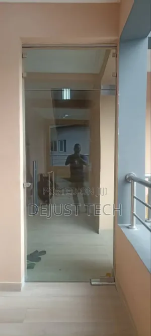 Frameless Tempered Glass Door