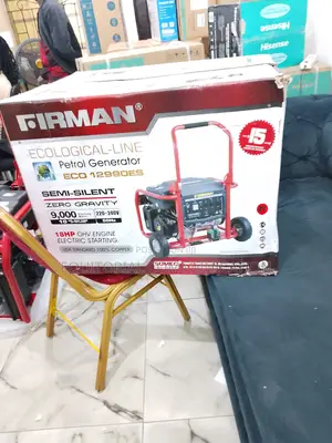 Firman Newly Produced Eco12990es Petrol Generator