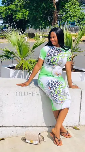 Cleaner Housekeeper
