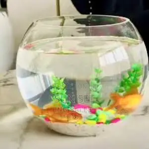 Aquarium Fishbowl Kit With 2 Fishes