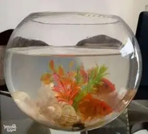 3 Liters Fishbowl Kit With One Fish