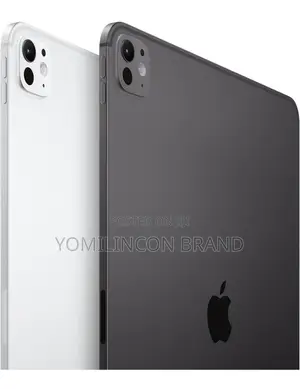 New Apple iPad Pro 11 (2024) 256 GB Gray