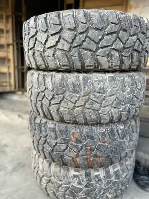 Mud Terrain Teeth Sitting in Pretty