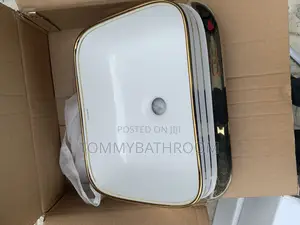 Countertop White and Gold Basin