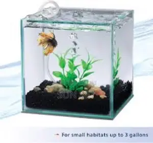 Complete Cube Shape Aquarium With Fishes - 15 X 15 X15inches