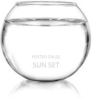 6 Liters Empty Fish Bowl