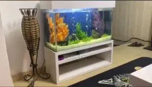 Custom Made Rectangle Aquarium